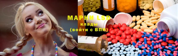 винт Алзамай