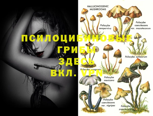 героин Няндома