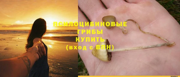 соль ск Волосово