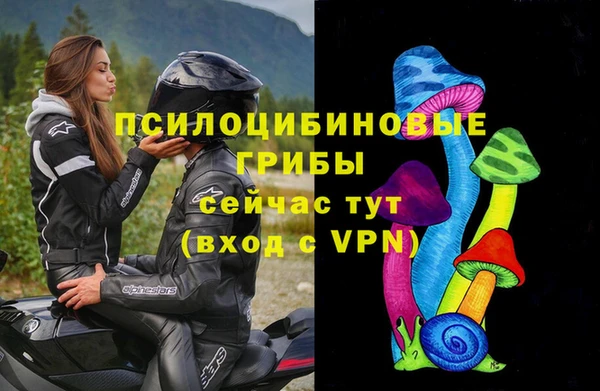 героин Няндома