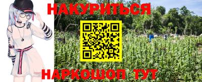 прущие крисы Дубна