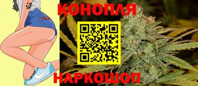 МДПВ Донецк