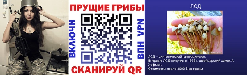 Псилоцибиновые грибы Psilocybe  kraken как войти  Куйбышев 