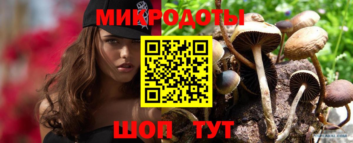 Псилоцибиновые грибы Cubensis Куйбышев