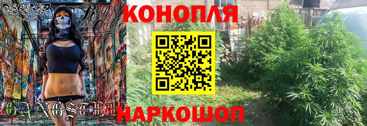 Каннабис гибрид Куйбышев